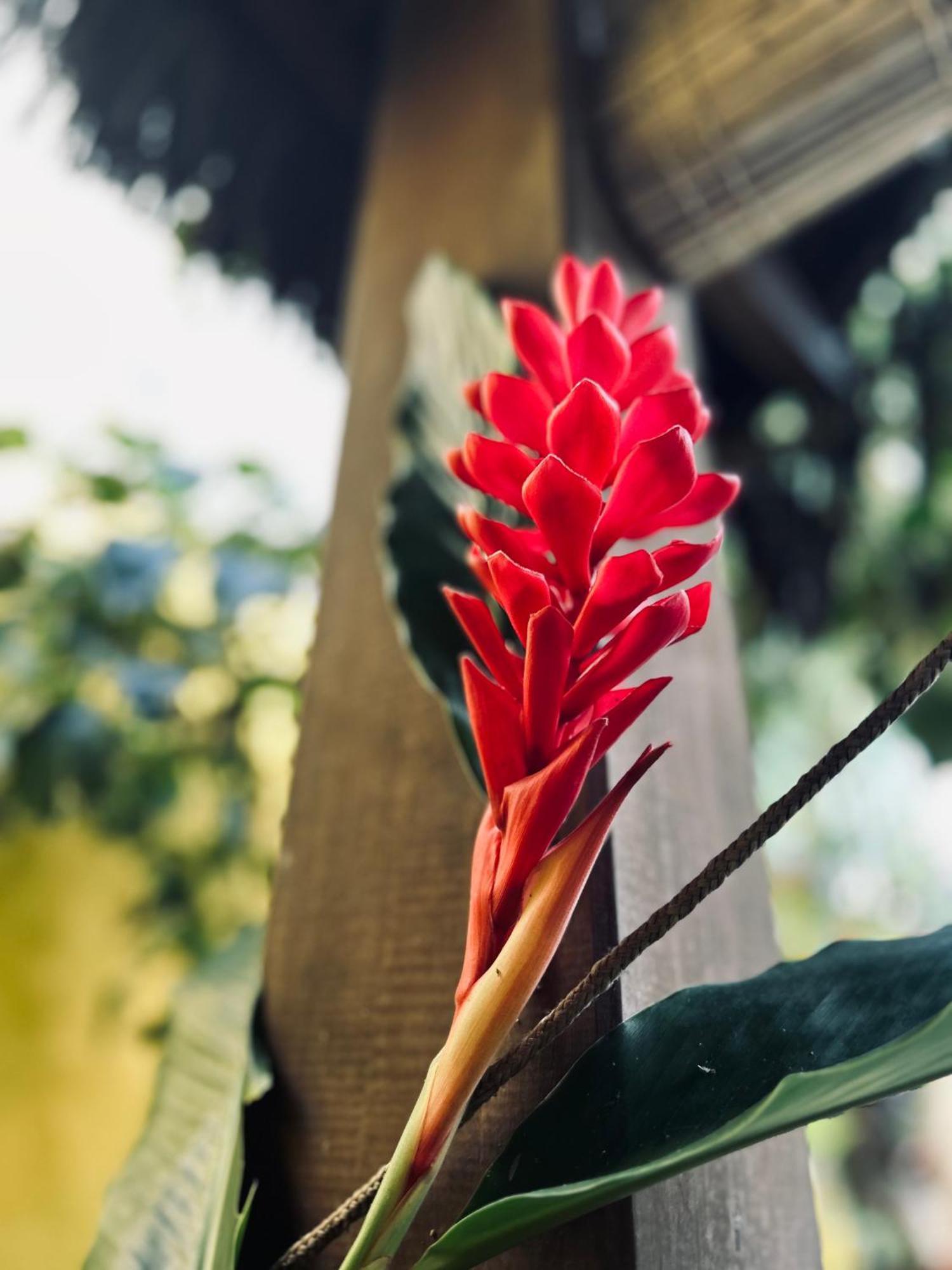 Pousada Velha Boipeba Dış mekan fotoğraf